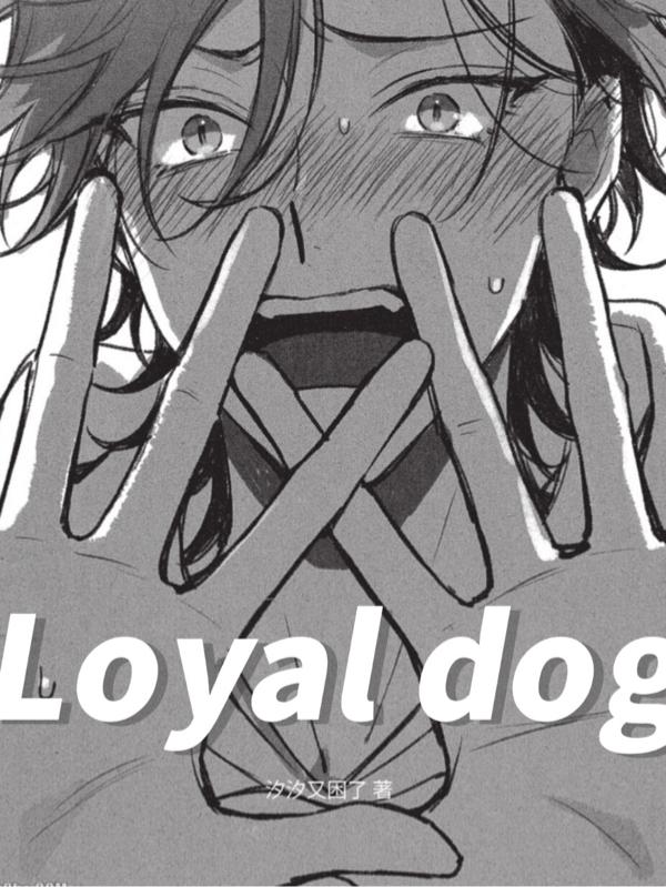 Loyaldog