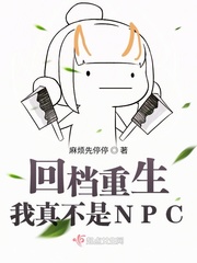 ص治NPC