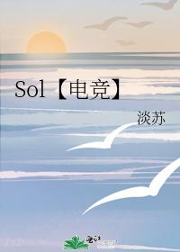 Sol羺