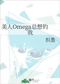 omega23С˵ȫĶ