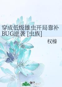 ɵͼ۳濪ֿBUGϮ []