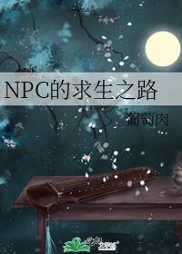 ֮·npc