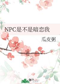 NPCǲǰ