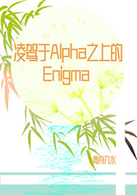 Alpha֮ϵEnigma:۾ˮ